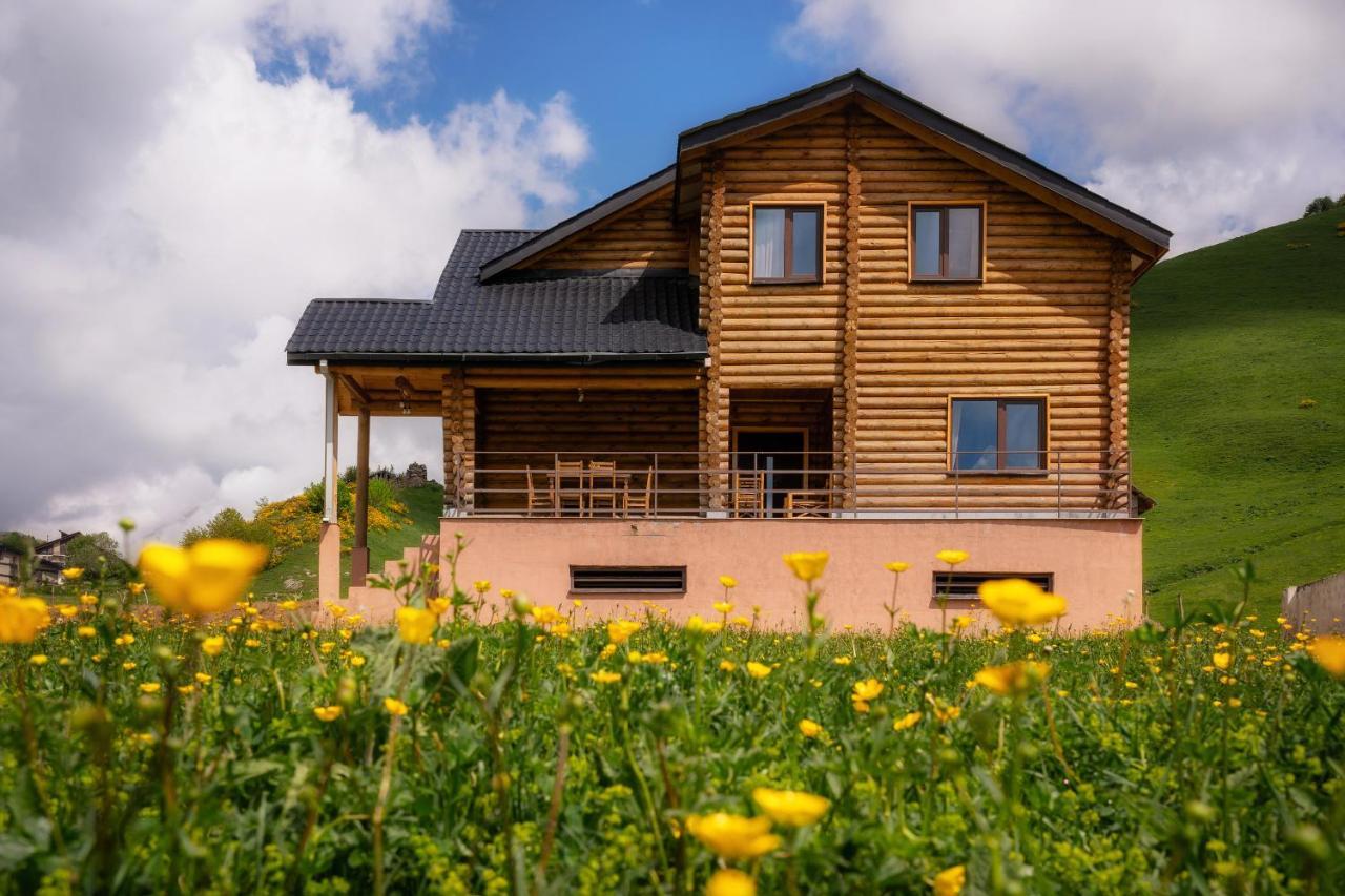 Snow Time Eco Chalet Gudauri Bagian luar foto